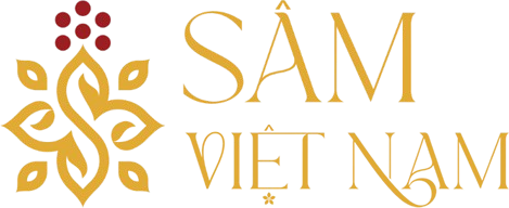 Sâm Việt Nam VNG