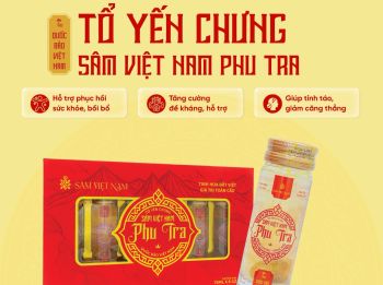  Tổ Yến Chưng Sâm Việt Nam Phu Tra