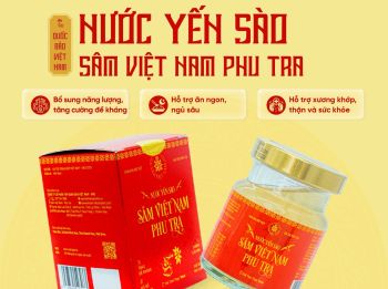 Nước Yến Sào Sâm Việt Nam Phu Tra