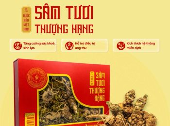 Hộp 01kg Sâm Tươi Thượng Hạng