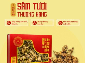 Hộp 500gr Sâm Tươi Thượng Hạng
