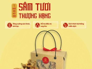 Hộp 200gr Sâm Tươi Thượng Hạng