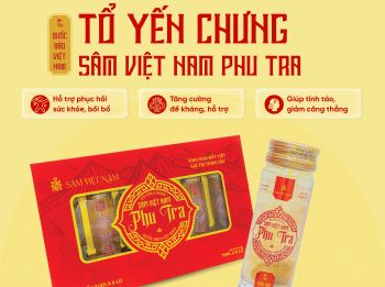 TỔ YẾN CHƯNG SÂM VIỆT NAM PHU TRA