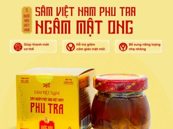 SÂM NGÂM MẬT ONG VIỆT NAM PHU TRA - HỘP 150ML