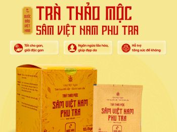 TRÀ THẢO MỘC SÂM VIỆT NAM PHU TRA