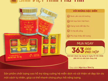 NƯỚC YẾN SÀO SÂM VIỆT NAM PHU TRA 70ML - Hộp 6 Hũ