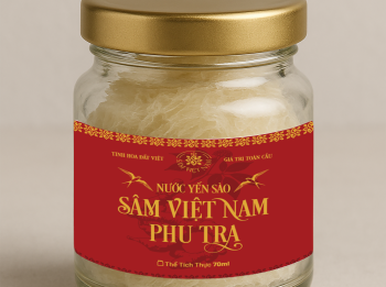 NƯỚC YẾN SÀO SÂM VIỆT NAM PHU TRA - 70ML