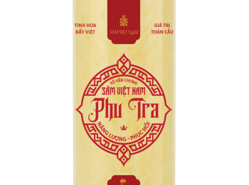 TỔ YẾN CHƯNG SÂM VIỆT NAM PHU TRA - 75ML