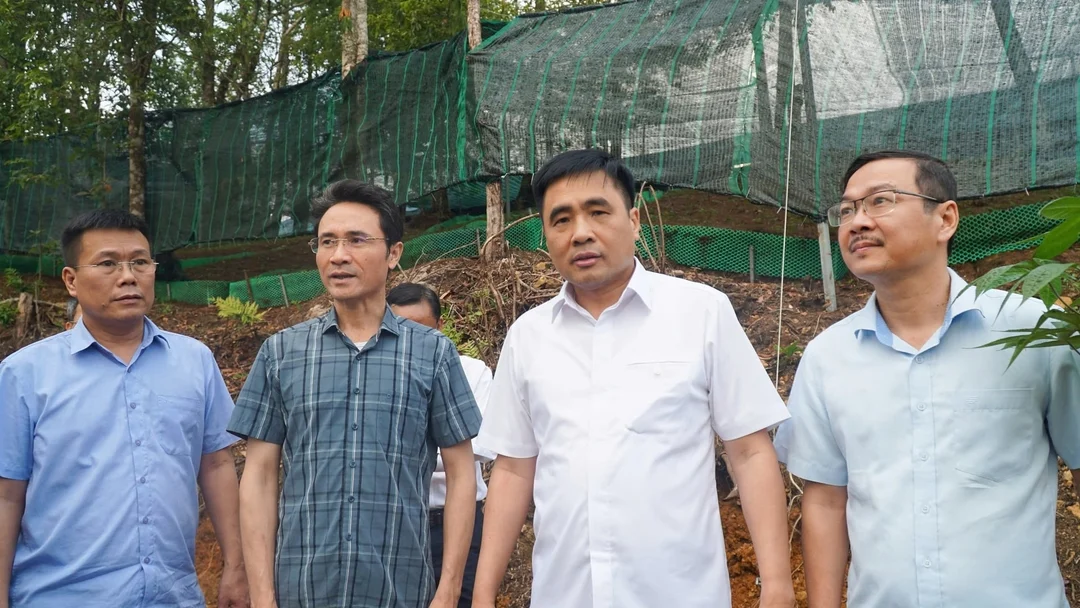 🌿 DẤU ẤN CHIẾN LƯỢC: VÙNG SÂM LAI CHÂU ĐƯỢC ĐỊNH HƯỚNG PHÁT TRIỂN TỪ CẤP BỘ