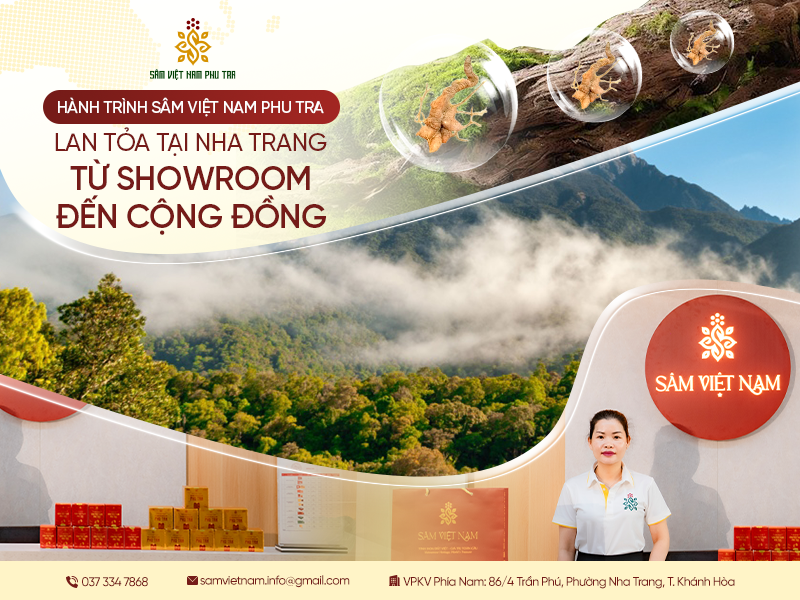 HÀNH TRÌNH SÂM VIỆT NAM PHU TRA LAN TỎA TẠI NHA TRANG: TỪ SHOWROOM ĐẾN CỘNG ĐỒNG
